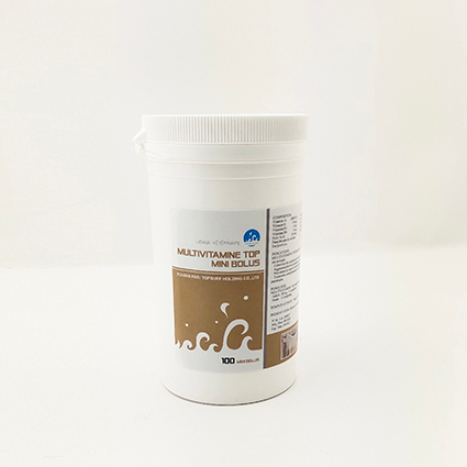 Multivitamines Top Mini Bolus 